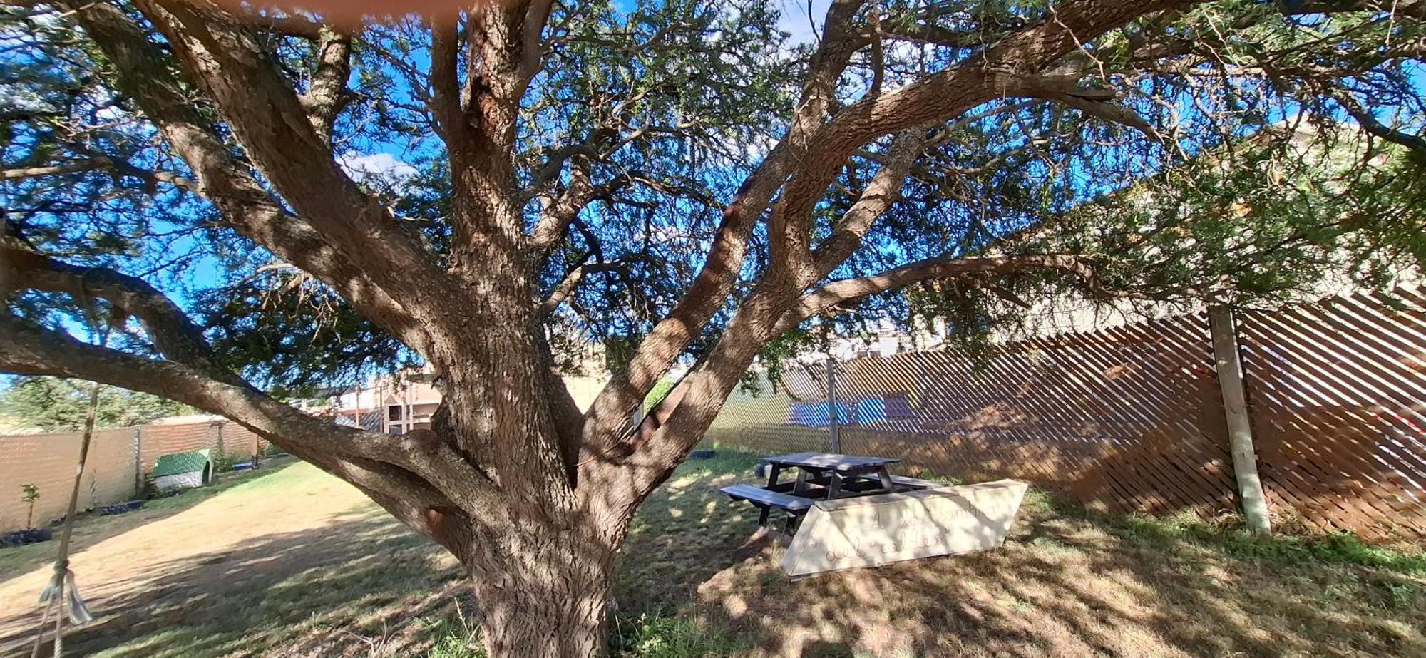 A La Sombra Del Calden Daire RSA Dış mekan fotoğraf